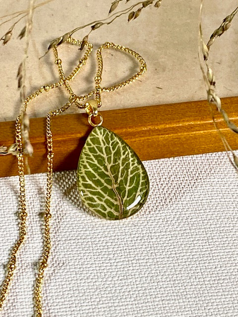 fittonia in gold plated druppelhanger