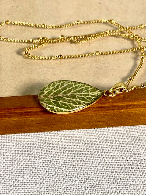 fittonia in gold plated druppelhanger